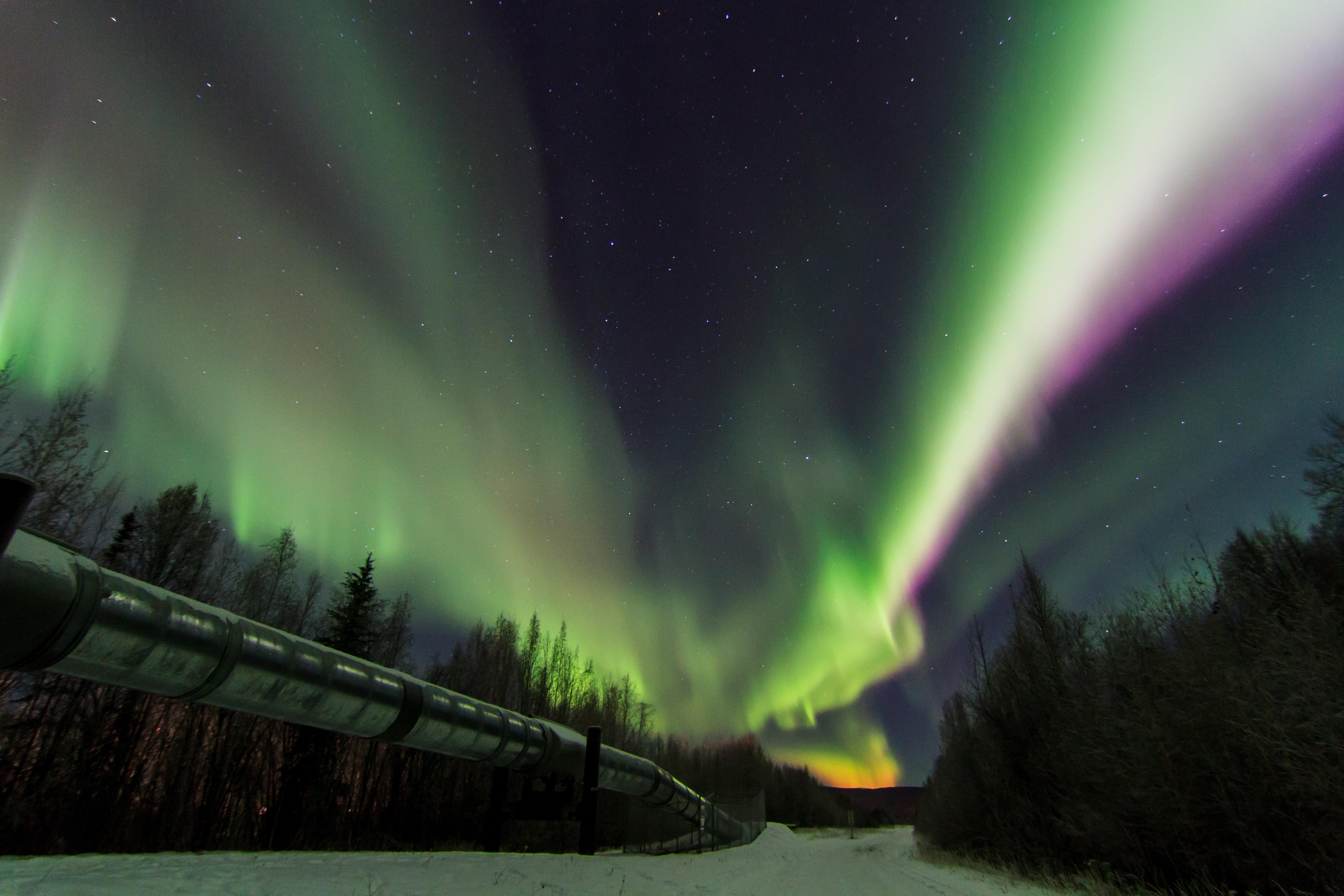 Staybridge Suites Anchorage By Ihg Bagian luar foto